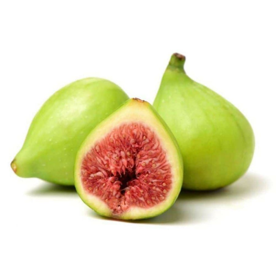 Outdoor Plants * | Wholesale 1 Gal Desert King Fig Tree By Online Orchards