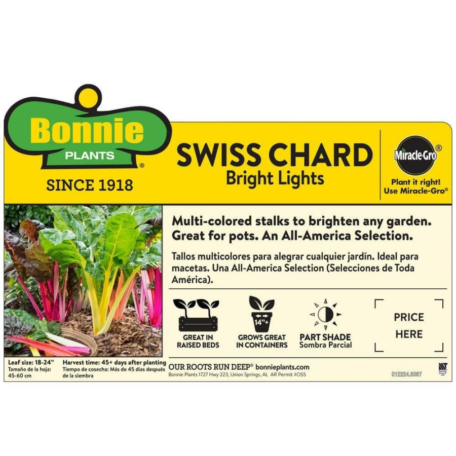 Outdoor Plants * | Brand New 19 Oz. Swiss Chard Plant (2-Pack) By Bonnie Plants