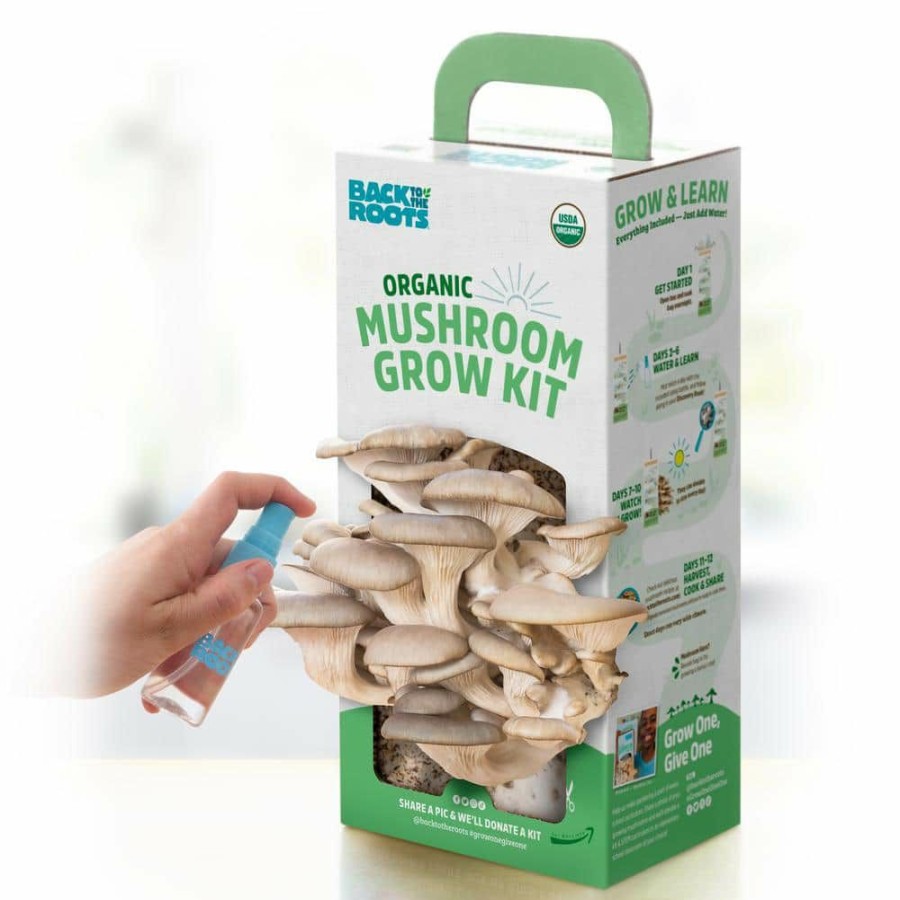 Organic Gardening * | Best Sale Organic Mushroom Grow Kit By Back To The Roots