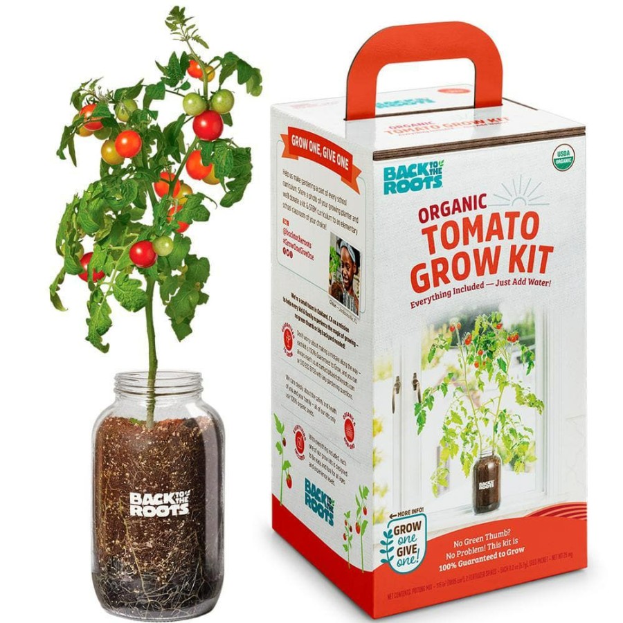 Organic Gardening * | Cheapest Windowsill Organic Cherry Tomato Grow Kit By Back To The Roots