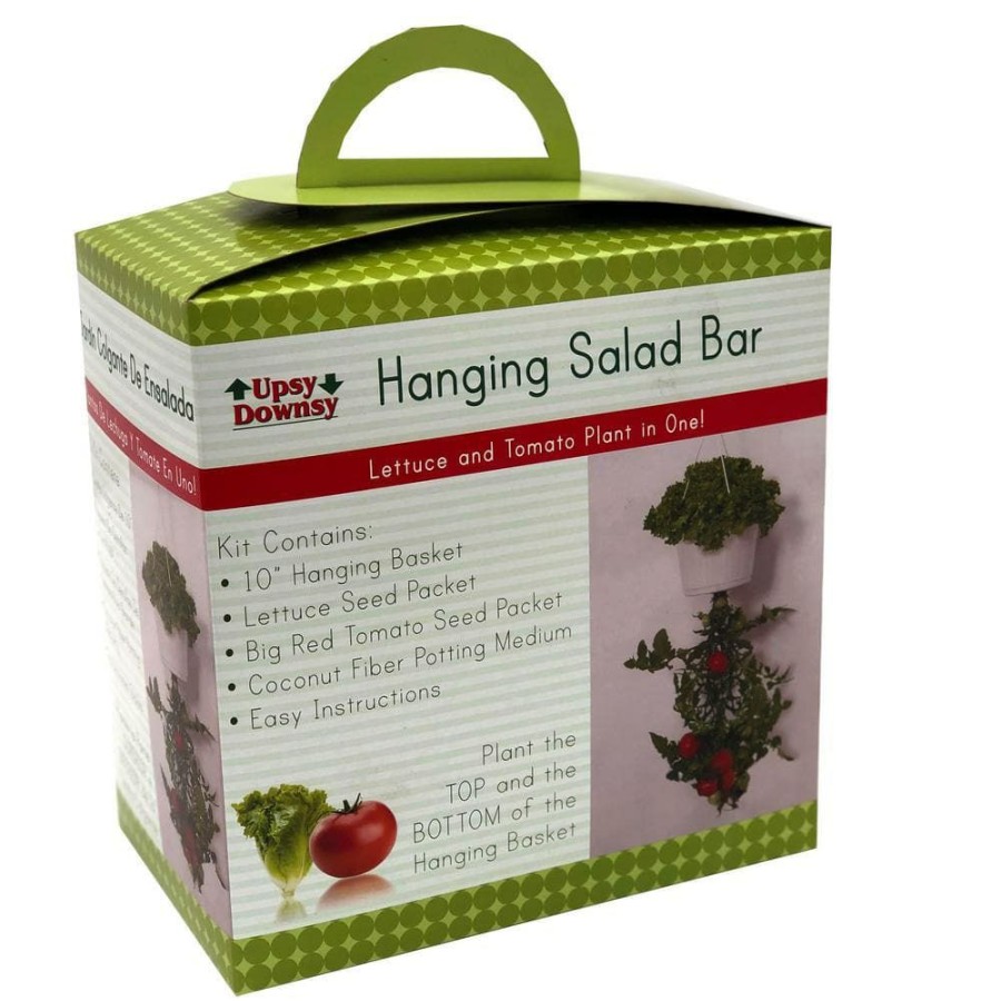 Outdoor Plants * | Promo Hanging Salad Bar- Tomato And Lettuce By Unbranded