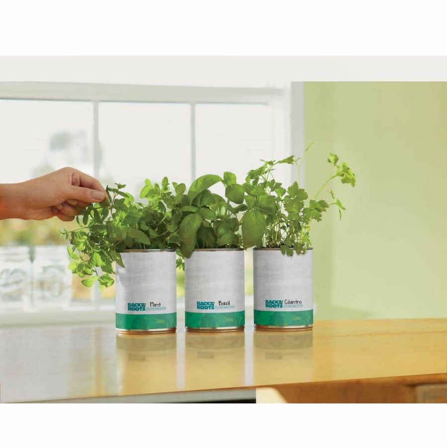 Organic Gardening * | Best Sale Basil/Cilantro/Mint Grow Kit Herb Garden (3-Pack) By Back To The Roots