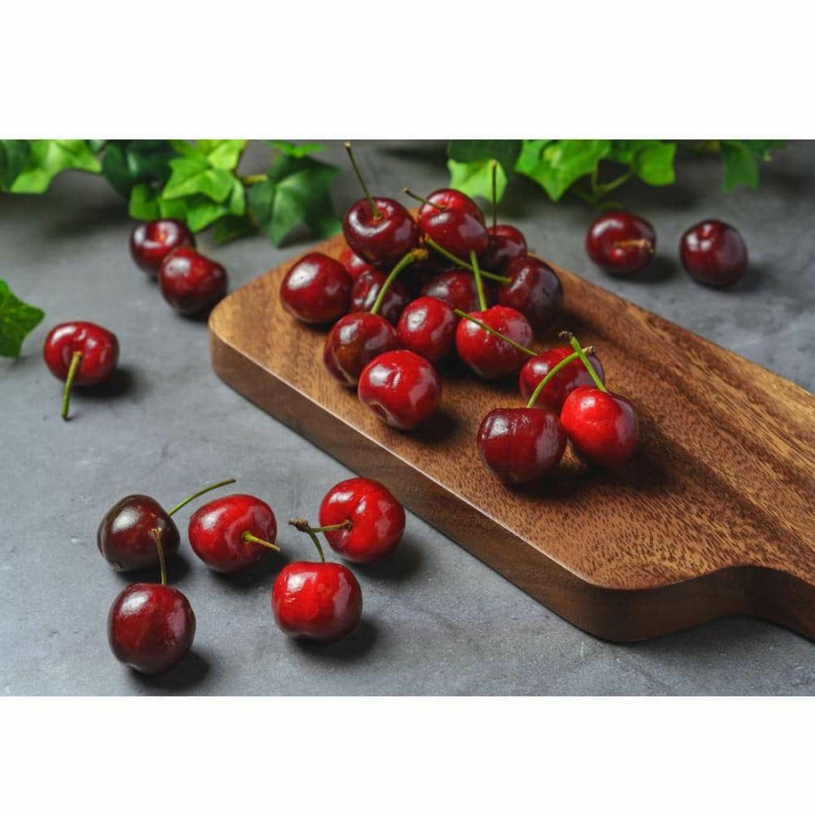 Outdoor Plants * | New 3 Ft. Bing Cherry Bare Root Tree With Dark Red Juicy Fruit (2-Trees) By Online Orchards