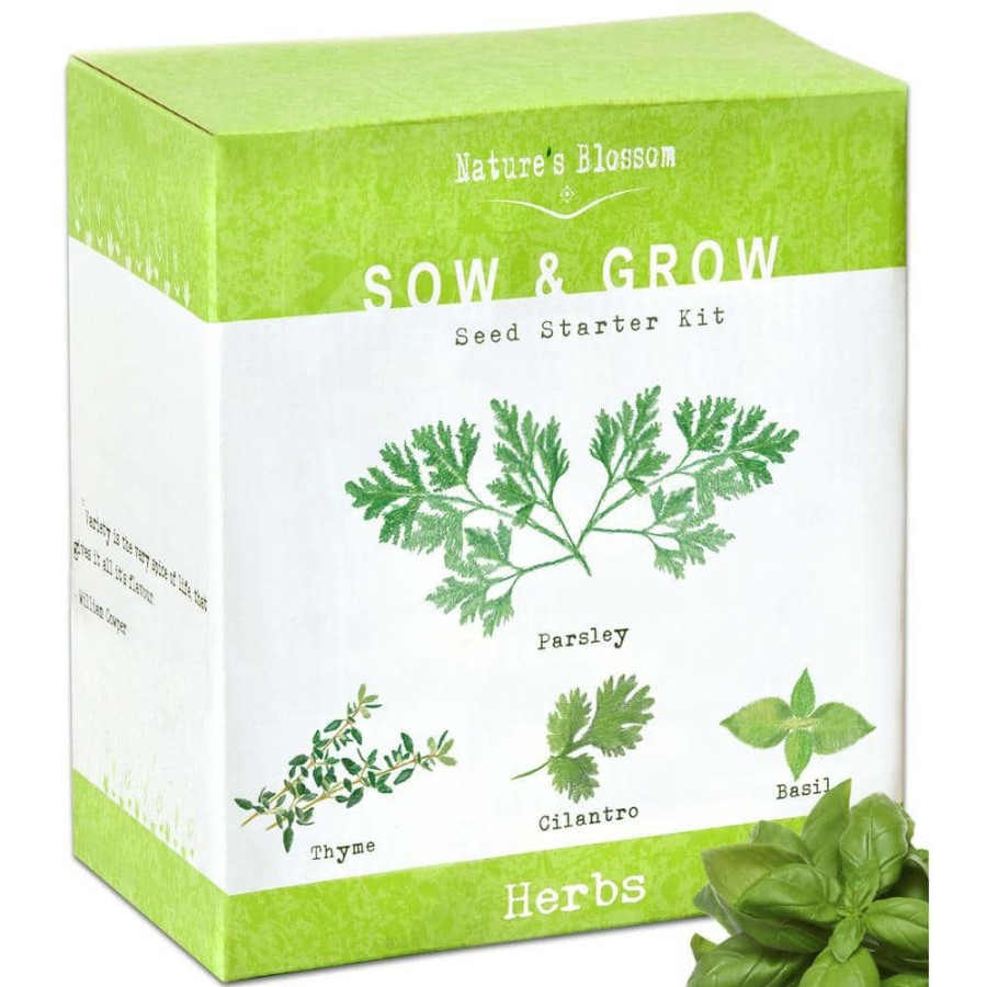 Outdoor Plants * | Outlet 4 Seed Basil, Cilantro, Parsley And Thyme Herb Garden Kit By Nature'S Blossom